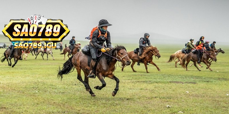 Cược đôi được biết tới là dạng kèo thịnh hành, dễ chơi nhất tại cổng game